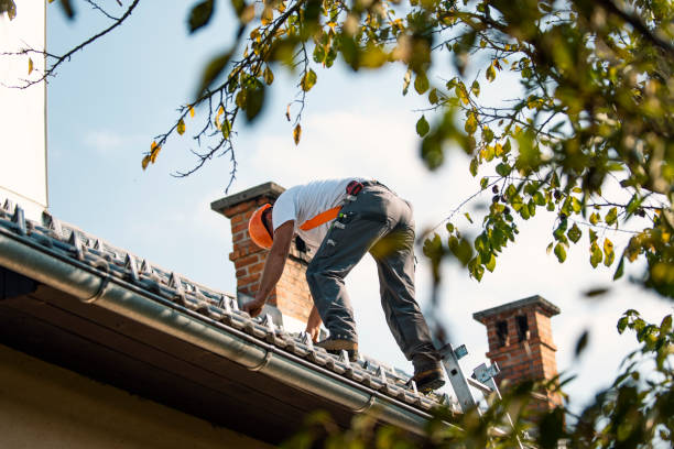 Best Flat Roof Repair Services  in Slayton, MN
