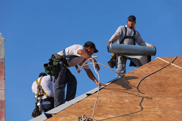 Roof Gutter Cleaning in Slayton, MN