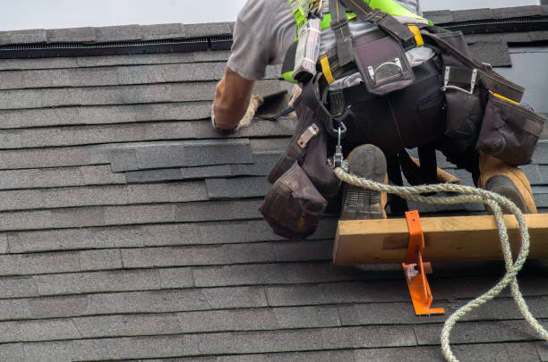 Best Roof Gutter Cleaning  in Slayton, MN