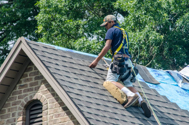 Best Roof Leak Repair  in Slayton, MN